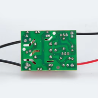 Lampe anti-moustique Carte haute tension Carte de circuit 12V DC4000V Carte de commande de circuit de lampe Pilote haute tension