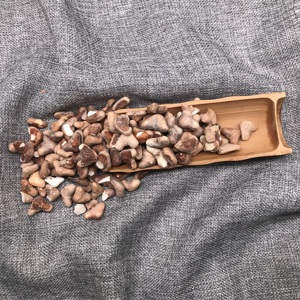 MD24 Ampoules Caltrop comestibles de haute qualité pour racines de trapa bispinosa à base d'eau séchée et de décortiquées pures pour la nourriture - Product Image 6