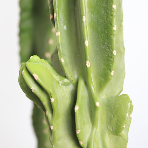 <span class=keywords><strong>Cactus</strong></span> artificiel décoratif d'intérieur, plante tropicale éternelle, PU, faux, écologique, toucher naturel, type arbre, décoration - Product Image 6