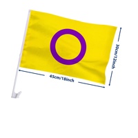 Drapeau de voiture Intersex Pride 12x18 pouces (30x45cm) jaune et violet avec clip de fixation en plastique pour défilé LGBTQIA+