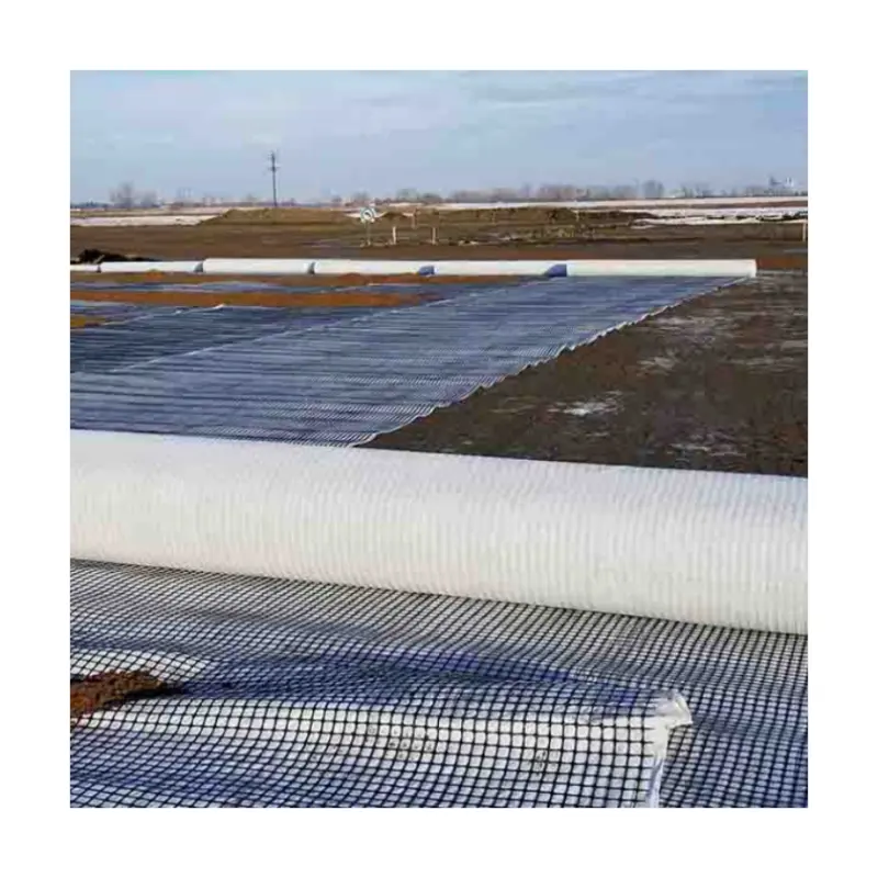 Geotextile คอมโพสิต Geogrid สำหรับถนนที่มีคุณภาพดีและราคาต่ำ