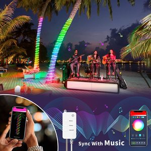 Guirlandes lumineuses LED personnalisées en gros pour centres commerciaux - Décoration - Classement IP65 - Télécommande - Options 50/100 LED - Product Image 5