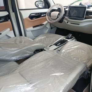 Vehículos Eléctricos de Alta Calidad al por Mayor en Stock, XB de 5 Puertas y 4 Asientos, Carga Rápida, Vehículos de Nueva Energía con Menos de 100 km de Autonomía - Product Image 6