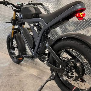 Vélo électrique pour adultes 20 pouces City Sports Road 1500W 48V avec moteur de moyeu arrière à 7 vitesses Fat Bike électrique - Product Image 6