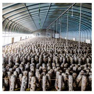 Túnel de Privación de Luz para Cultivo de Hongos con Sistema de Control Ambiental Automático, Precio de Fábrica - Product Image 6