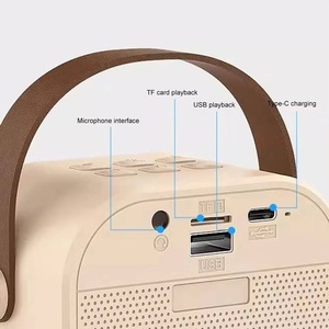 Altavoz de karaoke portátil con micrófono, Bluetooth 5,0, luz LED RGB, altavoz inalámbrico rosa para fiestas de canto - Product Image 2