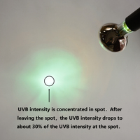 Lampe à vapeur de mercure autonome tout-en-un pour reptiles, UVA UVB, chauffante et chauffe-plage, favorise la production de vitamine D3 et de calcium chez les reptiles