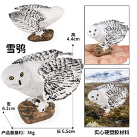 Modèle de jouet animal de simulation solide pour enfants yxs : Hibou des neiges, Aigle blanc, Ornement cadeau éducatif