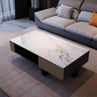Combinaison de meuble TV de table basse au design de luxe simple haut de gamme