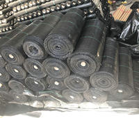 Film de paillis en plastique tissé pour l'agriculture PP Tissu de couverture du sol Tissu anti mauvaises herbes Tapis de mauvaises herbes pour la ferme