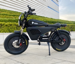 Bicicleta de Montaña 2025 de 3000W con Motor de 1500W, Neumáticos Anchos, Batería de Litio Extraíble de 30AH/60AH - Product Image 3