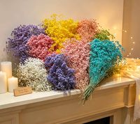 Fleurs de broom bloom préservées de haute qualité en gros, 60 cm, pour la décoration de la maison, de mariages, de la fête des mères et de la Saint-Valentin