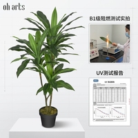 OH Arbre artificiel Dracaena ignifuge et résistant aux UV, toucher réel, Arbre du dragon de Madagascar pour la décoration d'hôtels et d'espaces professionnels