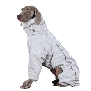 Vêtements pour <span class=keywords><strong>chien</strong></span> en coton imperméables toutes saisons, personnalisables par un designer, coupe-vent, doublure polaire, réfléchissants, quatre pattes, Nouvel An Chinois - Product Image 1