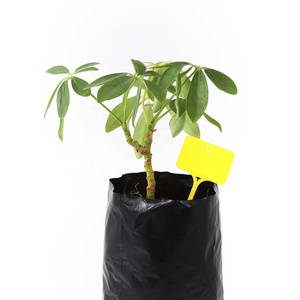 Etichette per Piante Impermeabili in Plastica a Forma di T con Faccina Sorridente 50*99mm, Targhette Riutilizzabili per Fiori in Vaso e Verdure - Product Image 6