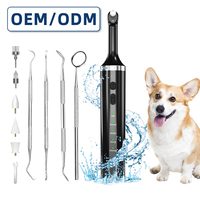 Polisseur dentaire électrique domestique, kit de blanchiment des dents, élimination du tartre et des taches, appareil de soins bucco-dentaires