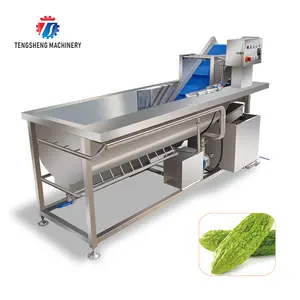 Vegetais e Frutas Automático Bolha Vórtice TS-X220 Citros Vegetal Máquina de Lavar Roupa Máquina de Lavar Roupa