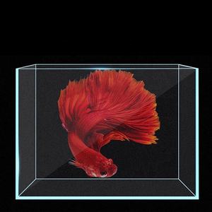 Vente en gros <span class=keywords><strong>Aquarium</strong></span> d'eau écologique de haute qualité, petit <span class=keywords><strong>aquarium</strong></span> de grande taille, <span class=keywords><strong>aquarium</strong></span> de 20 gallons, <span class=keywords><strong>aquarium</strong></span> intelligent - Product Image 6