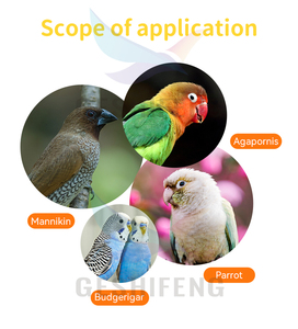 <span class=keywords><strong>Cage</strong></span> à oiseaux pliable GA-2454 en métal, couleurs mélangées blanc, bleu, rouge, vert, petite <span class=keywords><strong>cage</strong></span> européenne - Product Image 4