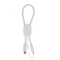 Cordon de charge rapide PD 60W en silicone compact Type-C vers C, câble de chargeur de téléphone portable portable, cadeau promotionnel d'entreprise en gros