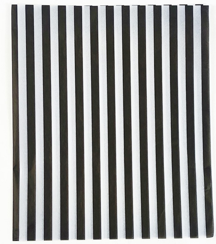 Franja vertical negra