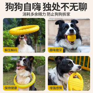 Ensemble de jouets pour chiens, durables, résistants aux morsures, flottants, pour l'entraînement des chiots et des animaux de compagnie, taille moyenne - Product Image 4