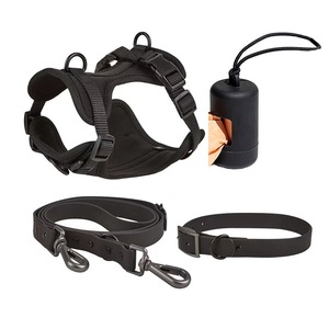 Set di Imbracature per Cani in Neoprene di Alta Qualità Personalizzate, Collare e Guinzaglio Personalizzati, Accessori per Animali Domestici - Product Image 6