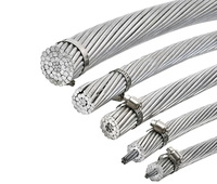 Cables Eléctricos de Aluminio Desnudo de Alta Calidad al por Mayor, Cables de Potencia Eléctrica, Trenzados Concéntricos, para Estaciones de Baja Potencia