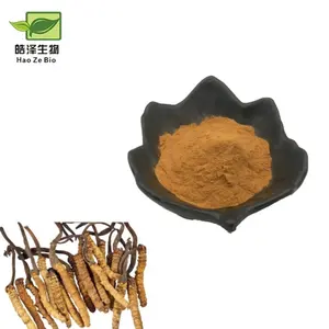 Wholesale Price Supply Cordyceps Polysaccharide 50% For Drink Using Cordyceps Extract