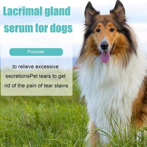 Gocce Nutrienti per la Cura degli Occhi dei Cani a Marchio Privato, Riducono Efficacemente le Macchie Lacrimali, Sicure <span class=keywords><strong>e</strong></span> Delicate, per Lacrime Rosse <span class=keywords><strong>e</strong></span> Prurito - Product Image 3