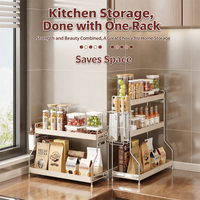 Étagère à épices moderne à double niveau, 3 niveaux, en acier au carbone électroplaqué, pour comptoir de cuisine, rangement OEM