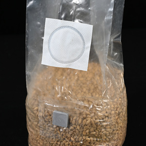 Bolsas <span class=keywords><strong>de</strong></span> Cultivo <span class=keywords><strong>de</strong></span> Hongos Comestibles K22, Bolsas <span class=keywords><strong>de</strong></span> Aislamiento Transpirables Resistentes a <span class=keywords><strong>la</strong></span> Temperatura <span class=keywords><strong>de</strong></span> PP para Inoculación - Product Image 6