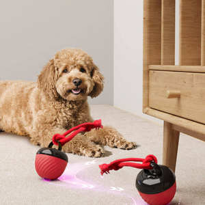 Juguete para Mascotas con Función de Autoentretenimiento, Pelota Saltarina para Perros, Juguete Eléctrico Recargable con Limpieza Dental - Product Image 5