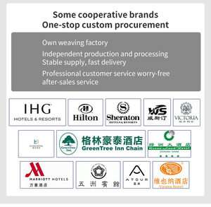 Edredón lavable de algodón ligero de verano blanco de gama alta con aire acondicionado para hoteles y estancias en el hogar, ropa de cama central para un estilo cómodo - Product Image 6