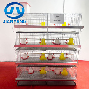 Jaulas <span class=keywords><strong>de</strong></span> Calidad para Gallinas Ponedoras en Granjas Avícolas, <span class=keywords><strong>de</strong></span> Material Galvanizado y Tipo A - Product Image 6