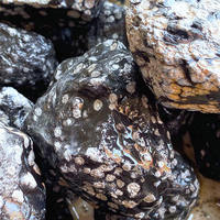 Vente en gros de flocon de neige naturel pur de haute qualité obsidienne pierre brute agate ornements spécimen de pierres minéraux rares cristal artisanat