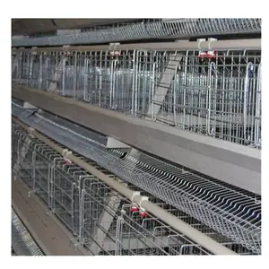 Design new Egg Layer Battery Chicken Cage System Chicken Coop for poultry farm house