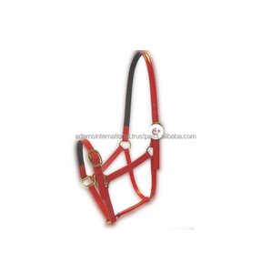 Caballo de PVC de alta calidad, Halter - Product Image 1