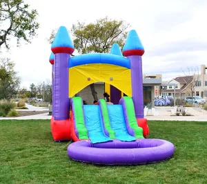 Commercial Inflatable Jumper Bouncer Bouncy Castle Jelly Bean Bounce House Dual Slide Combo With Pool
