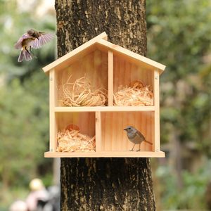 Casa para Pájaros con Ventana Transparente, Diseño de Vista Clara, Resistente al Agua, Casa para Pájaros de Madera para Exteriores, Fácil de Instalar, Decoración de Jardín - Product Image 5