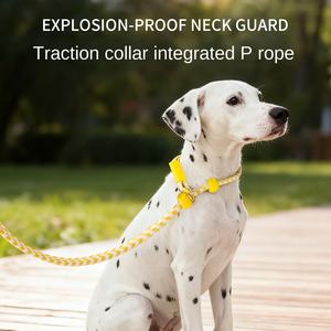 कुत्ते की कर्षण रस्सी पंड ठोस नायलॉन प्रशिक्षण लीश विस्फोट-सबूत चलने की श्रृंखला बड़े/मध्यम/छोटे कुत्तों के लिए नए निर्माताओं के लिए - Product Image 3
