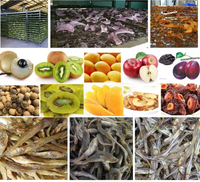 Machine de séchage de fruits et légumes à charbon de bois de qualité supérieure Zhengzhou pour divers fruits et légumes