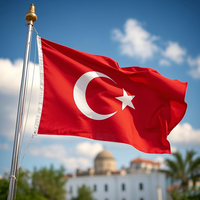 Agent logistique professionnel de la Chine à la Turquie avec des services d'expédition de porte à porte Fret maritime aérien Transport express DDP