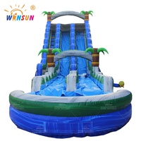 WINSUN Fun Blue Crush Palmier Double Voie Glissière Château Gonflable Toboggan Gonflable à Vendre