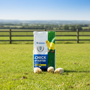 Bolsas Reutilizables Personalizadas de BOPP <span class=keywords><strong>para</strong></span> Alimentos <span class=keywords><strong>para</strong></span> Mascotas, Bolsas Tejidas de PP Vacías <span class=keywords><strong>para</strong></span> Envasado de Alimentos <span class=keywords><strong>para</strong></span> Animales en Venta - Product Image 1