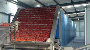 Déshydrateur végétal et industriel ceinture en maille rose séchoir à fleurs machine de séchage pour fruits - Product Image 5