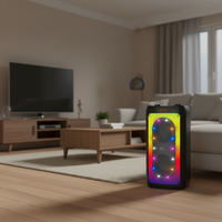 Enceinte sans fil BKK avec lumière RGB, 30W, enceinte portable pour karaoké