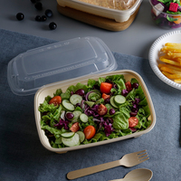 Boîte à repas jetable en forme de coquille de palourde biodégradable pour plats à emporter, 13x5x3 pouces, avec couvercle, boîte sous-marine jetable MFPP