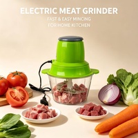 Mini robot culinaire électrique domestique en acier inoxydable avec 4 lames pour légumes et ail