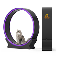 Roue d'exercice pour chat intelligente LED personnalisée EUR PET, grand tapis roulant pour chat avec piste antidérapante et goupille de verrouillage
